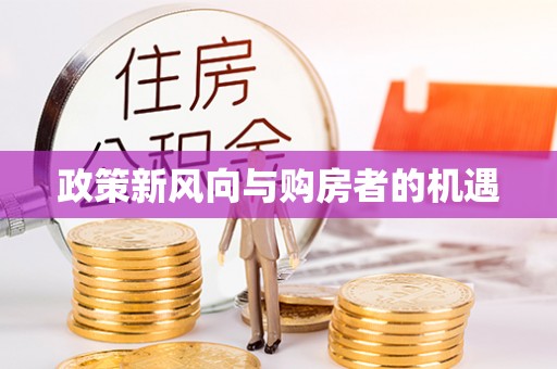 仑背政策新风向与购房者的机遇