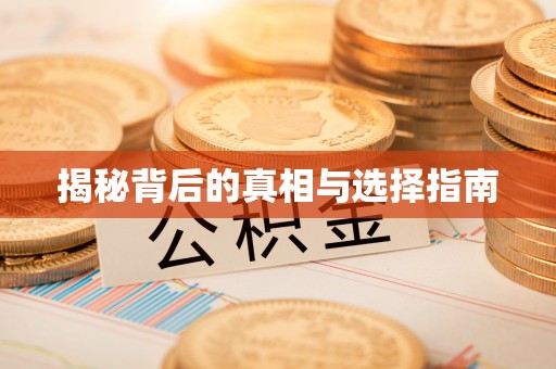 仑背揭秘背后的真相与选择指南