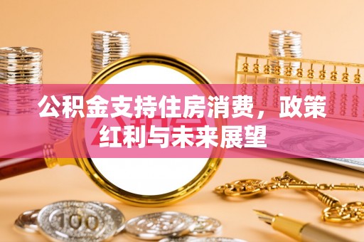 仑背公积金支持住房消费，政策红利与未来展望