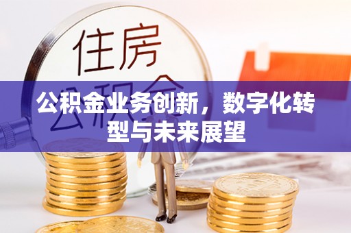 仑背公积金业务创新，数字化转型与未来展望