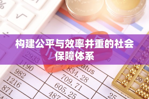 仑背构建公平与效率并重的社会保障体系