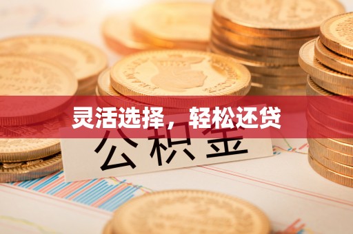 仑背灵活选择，轻松还贷