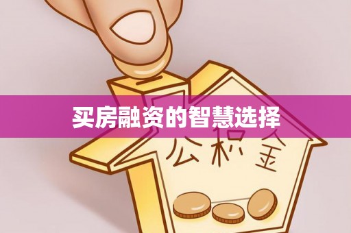 仑背买房融资的智慧选择