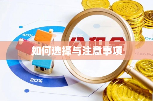 仑背如何选择与注意事项