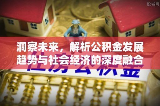 仑背洞察未来，解析公积金发展趋势与社会经济的深度融合