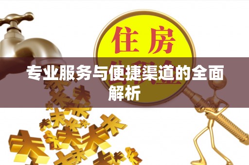 仑背专业服务与便捷渠道的全面解析