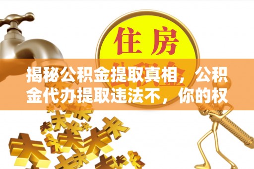 仑背揭秘公积金提取真相，公积金代办提取违法不，你的权益如何保障？