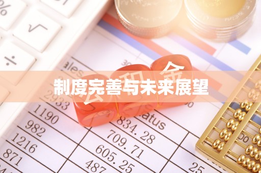 仑背制度完善与未来展望