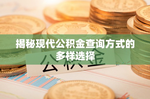 仑背揭秘现代公积金查询方式的多样选择