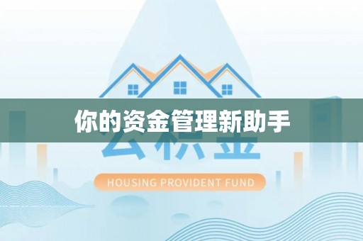 仑背你的资金管理新助手