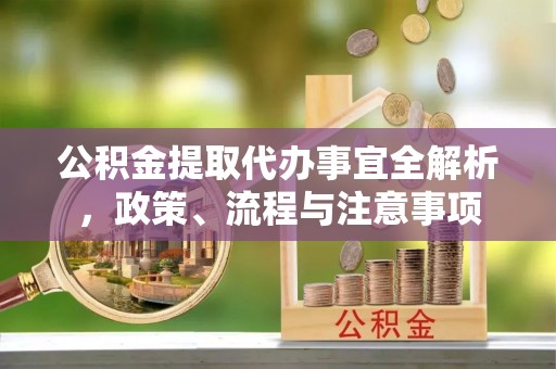 仑背公积金提取代办事宜全解析，政策、流程与注意事项