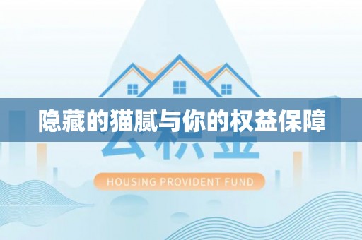仑背隐藏的猫腻与你的权益保障