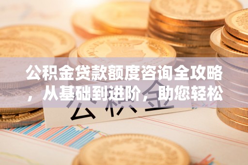仑背公积金贷款额度咨询全攻略，从基础到进阶，助您轻松掌握关键要点