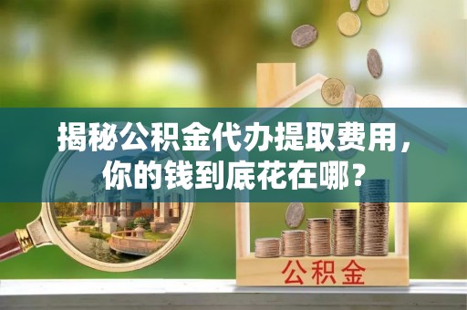 仑背揭秘公积金代办提取费用，你的钱到底花在哪？