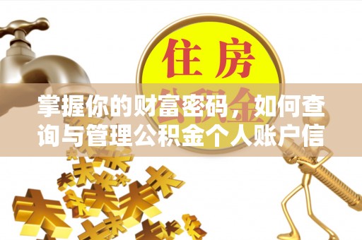 仑背掌握你的财富密码，如何查询与管理公积金个人账户信息