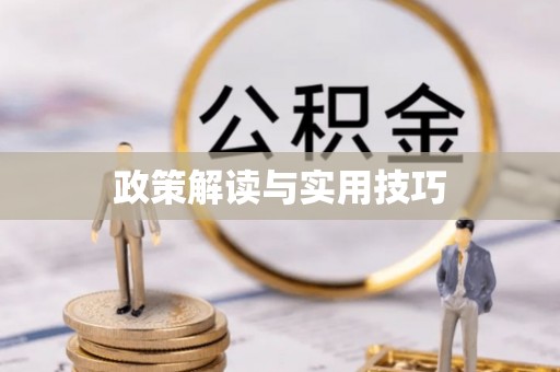 仑背政策解读与实用技巧