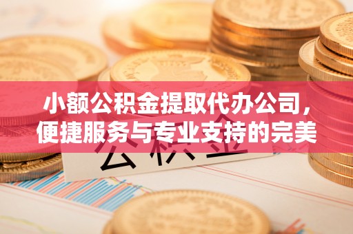 仑背小额公积金提取代办公司，便捷服务与专业支持的完美结合