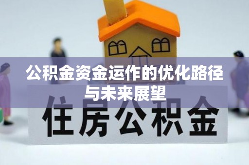 仑背公积金资金运作的优化路径与未来展望