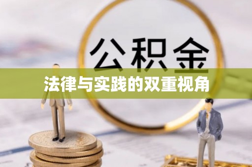 仑背法律与实践的双重视角