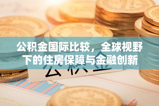 仑背公积金国际比较，全球视野下的住房保障与金融创新