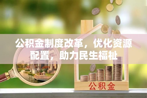 仑背公积金制度改革，优化资源配置，助力民生福祉