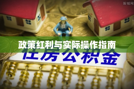 仑背政策红利与实际操作指南