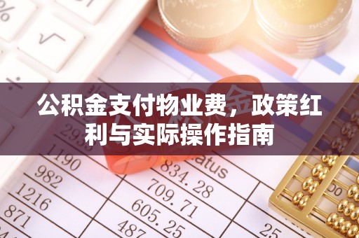 仑背公积金支付物业费，政策红利与实际操作指南