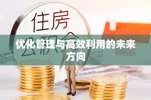仑背优化管理与高效利用的未来方向
