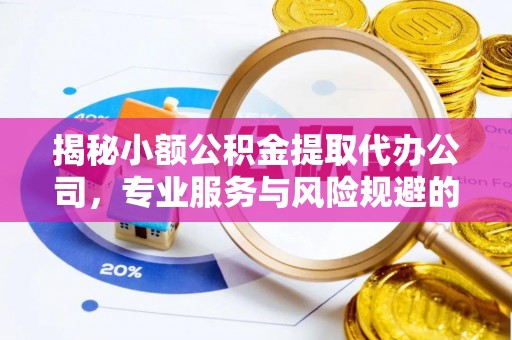 仑背揭秘小额公积金提取代办公司，专业服务与风险规避的平衡艺术