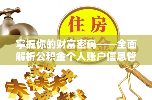 仑背掌握你的财富密码——全面解析公积金个人账户信息管理与优化