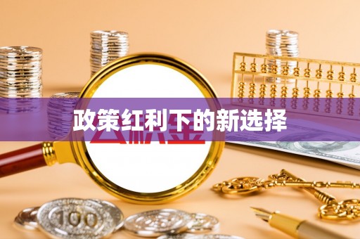 仑背政策红利下的新选择