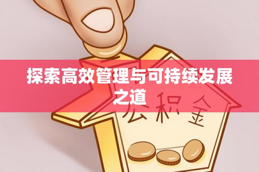 仑背探索高效管理与可持续发展之道