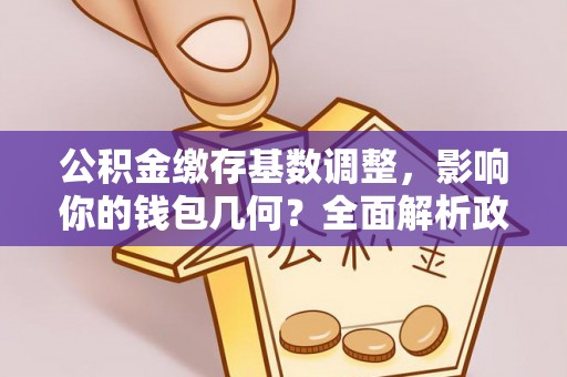 仑背公积金缴存基数调整，影响你的钱包几何？全面解析政策与实际收益