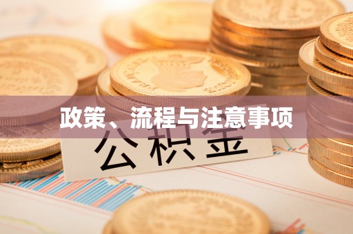 仑背政策、流程与注意事项