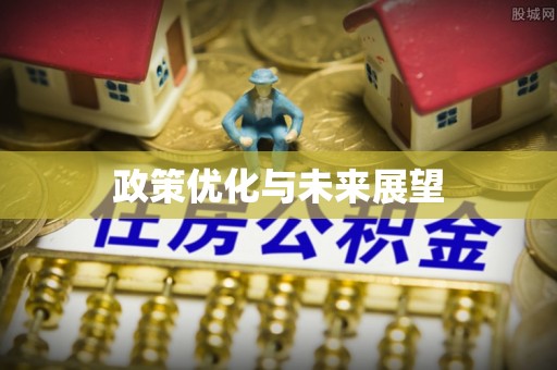 仑背政策优化与未来展望