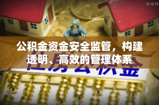 仑背公积金资金安全监管，构建透明、高效的管理体系