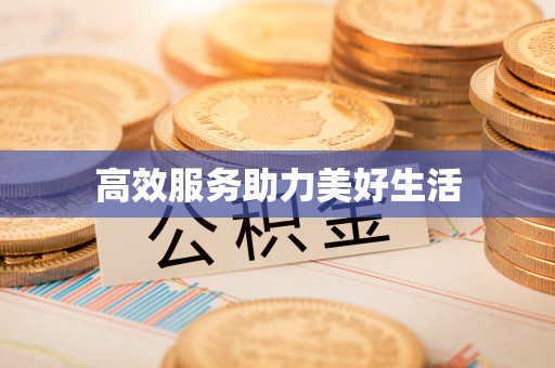 仑背高效服务助力美好生活