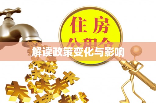 仑背解读政策变化与影响