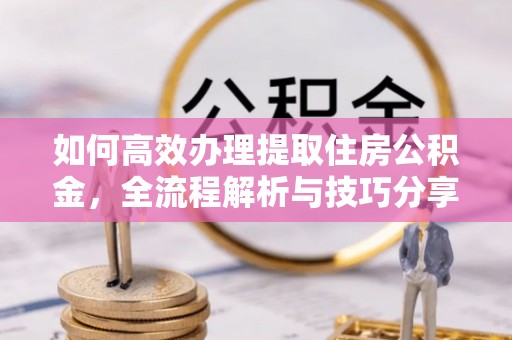 仑背如何高效办理提取住房公积金，全流程解析与技巧分享