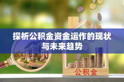 仑背探析公积金资金运作的现状与未来趋势