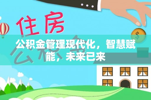仑背公积金管理现代化，智慧赋能，未来已来
