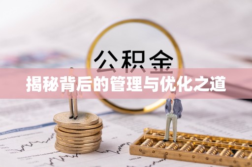 仑背揭秘背后的管理与优化之道