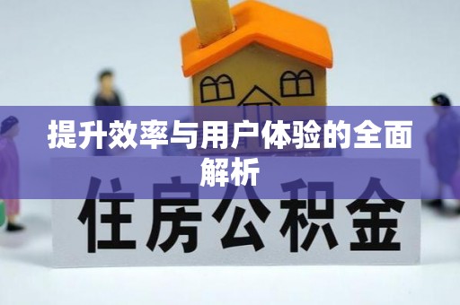 仑背提升效率与用户体验的全面解析