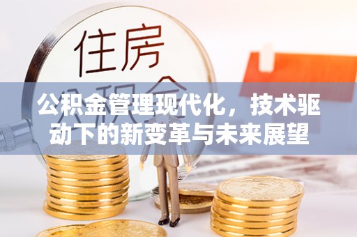 仑背公积金管理现代化，技术驱动下的新变革与未来展望