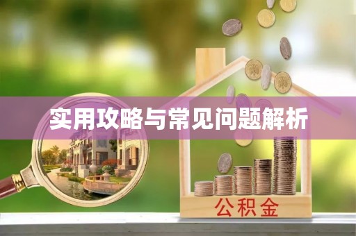 仑背实用攻略与常见问题解析