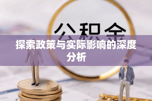 仑背探索政策与实际影响的深度分析