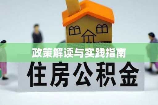 仑背政策解读与实践指南