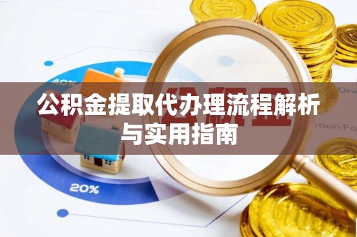 仑背公积金提取代办理流程解析与实用指南