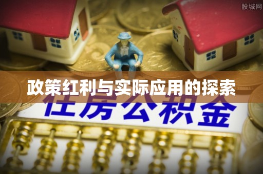 仑背政策红利与实际应用的探索