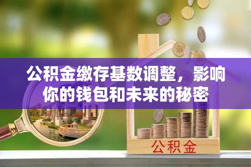 仑背公积金缴存基数调整，影响你的钱包和未来的秘密